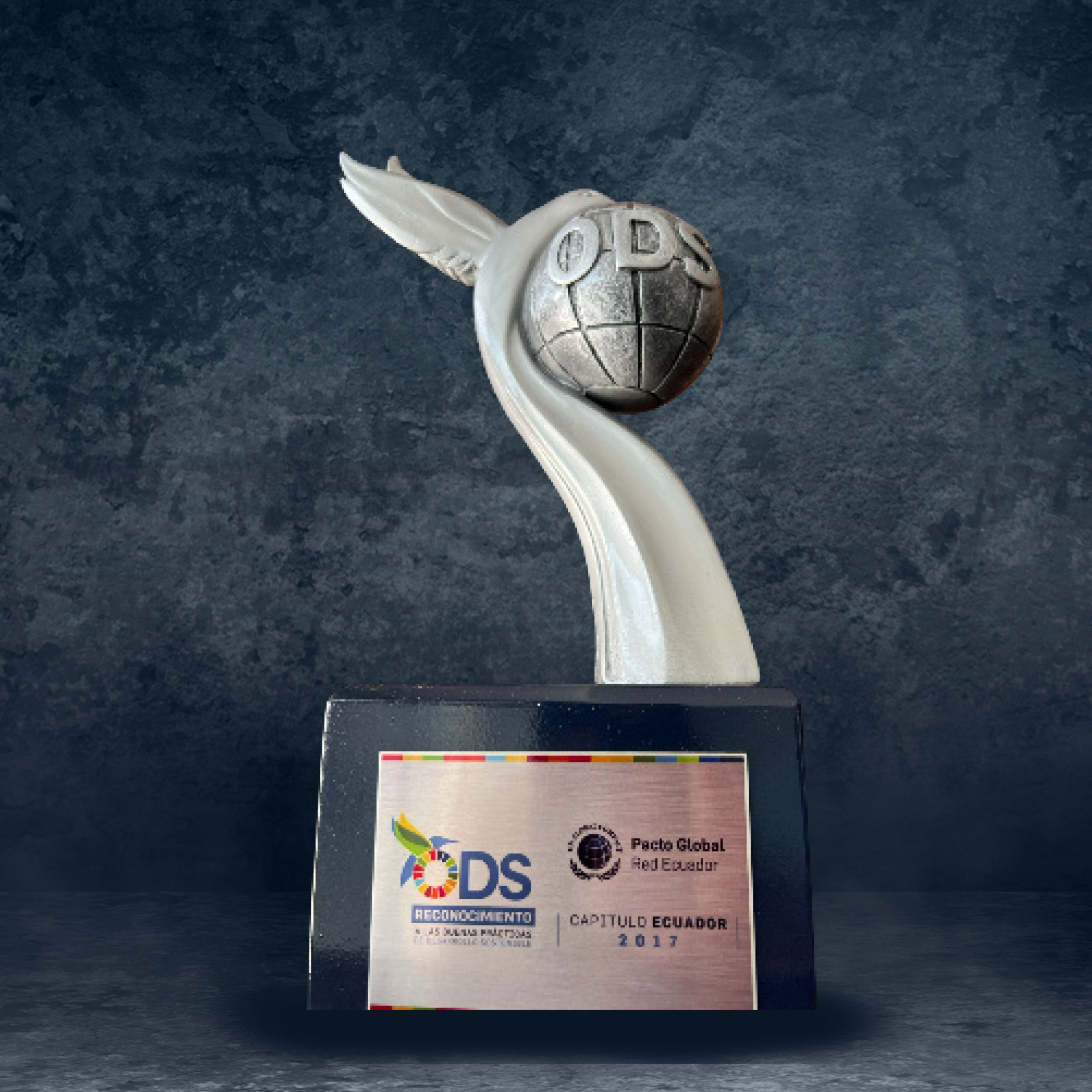 Reconocimiento Regional ODS (2017)